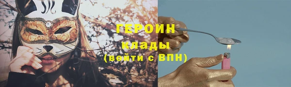 твердый Новодвинск