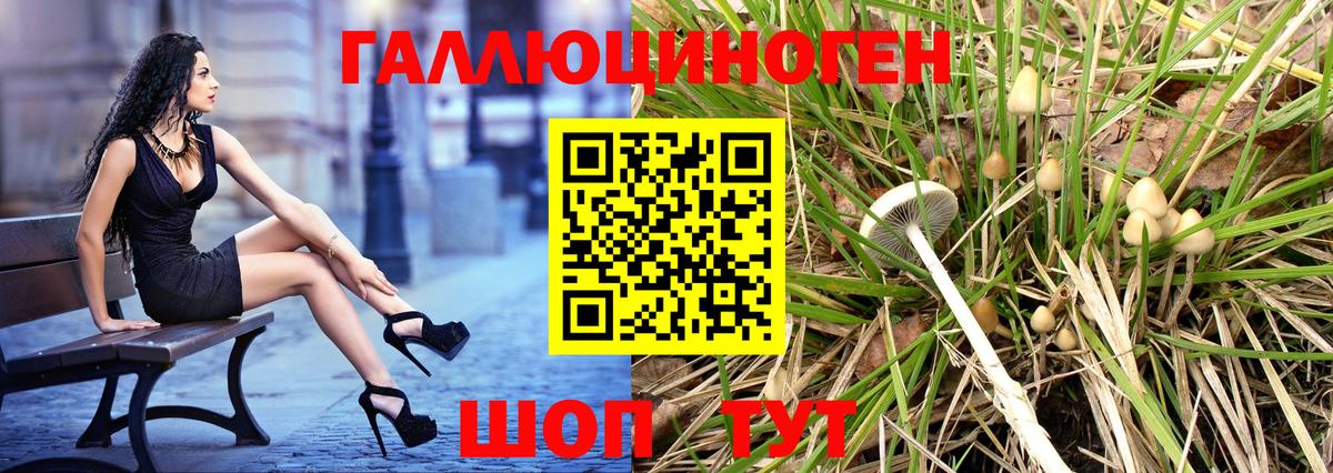 Галлюциногенные грибы Надым