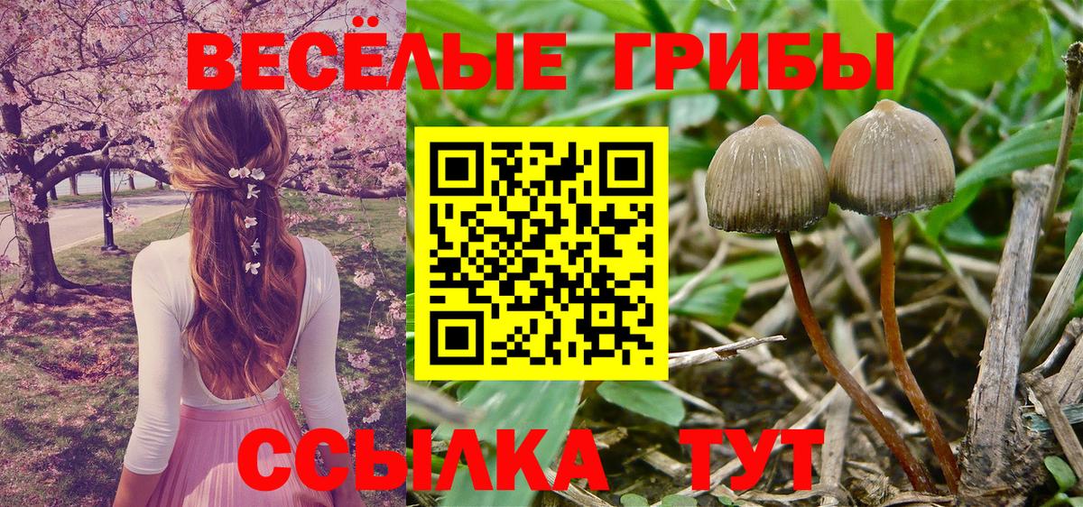 Псилоцибиновые грибы Psilocybe  Вход с VPN  купить наркотик  Надым 